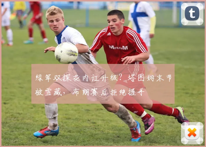 绿军双探花内讧升级？塔图姆末节被雪藏，布朗赛后拒绝握手
